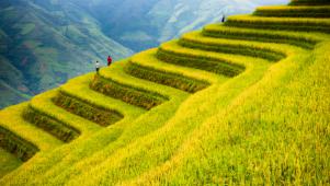 Sapa Tour - Explore Nothern Mountainous Areas