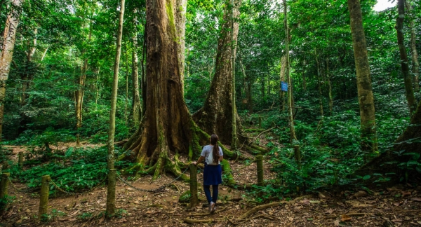 7 amazing national parks in Vietnam