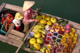 Travel to Melkong Delta - Can Tho Floating Market and Tra Su Forest