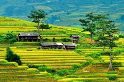 The Best Mu Cang Chai Tours & Things To Do